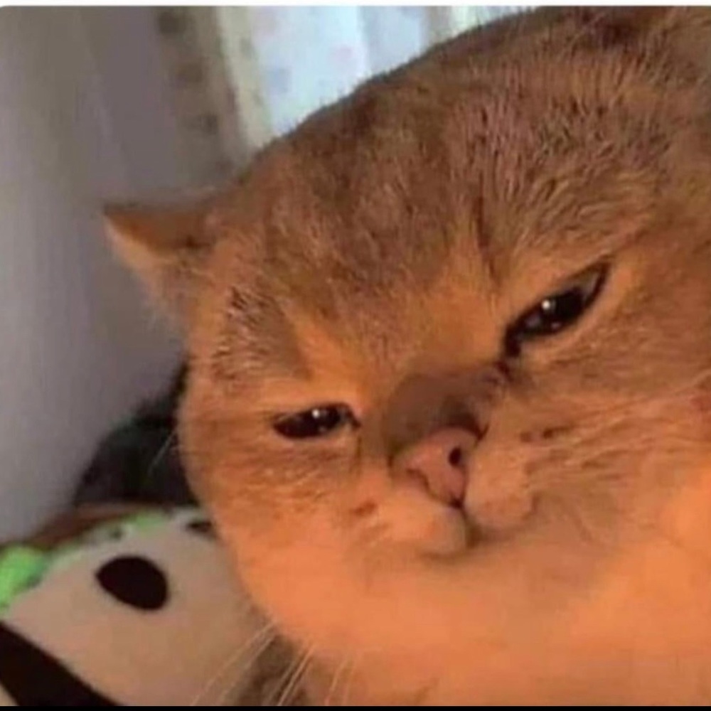 Meet your Posher, Luis